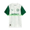 Maillot de Foot Palmeiras Exterieur 2025